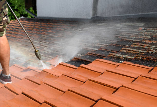 Best Pressure Washing Company Near Me  in Esparto, CA
