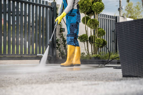 Roof Power Washing Services in Esparto, CA