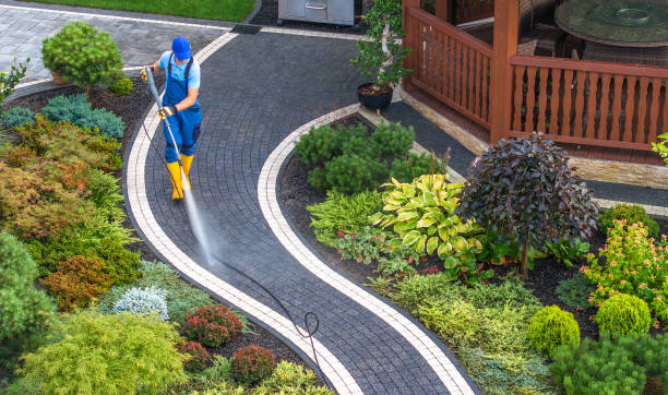 Best Roof Power Washing Services  in Esparto, CA