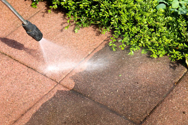 Best Exterior Home Cleaning  in Esparto, CA